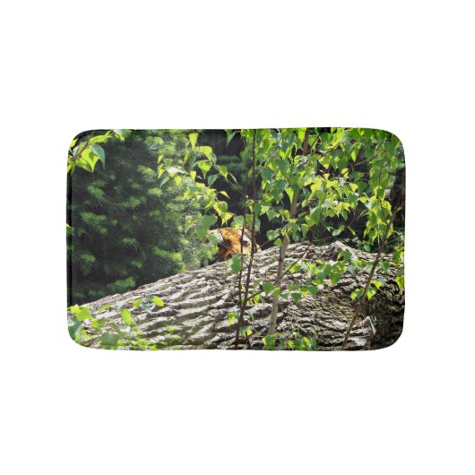 Tapis de bain Tigre Cache-Cache (Devant)