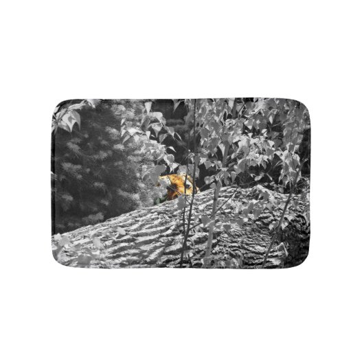 Tapis de bain Tigre Cache-Cache (Devant)