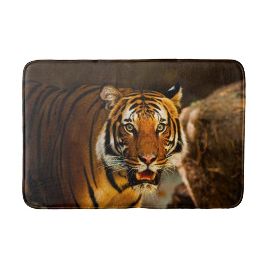 Tapis De Bain Tigre de gros plan Extraordinaire (Devant)
