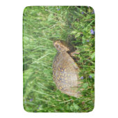 Tapis De Bain Tortue (devant Vertical)