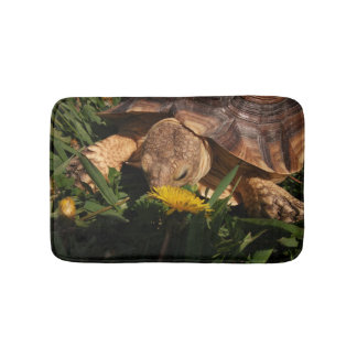 Tapis De Bain Tortue Sulcata en Grass et Dandelion