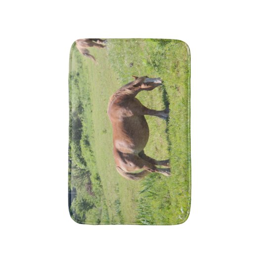 Tapis De Bain Trait Breton (Devant (Vertical))