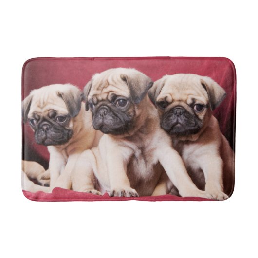 Tapis De Bain Triplés Carlin (Devant)