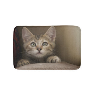 Tapis De Bain Un chaton tigré très doux