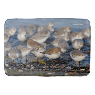 Tapis De Bain Un troupeau de Dunlins et Sanderlings à la plage