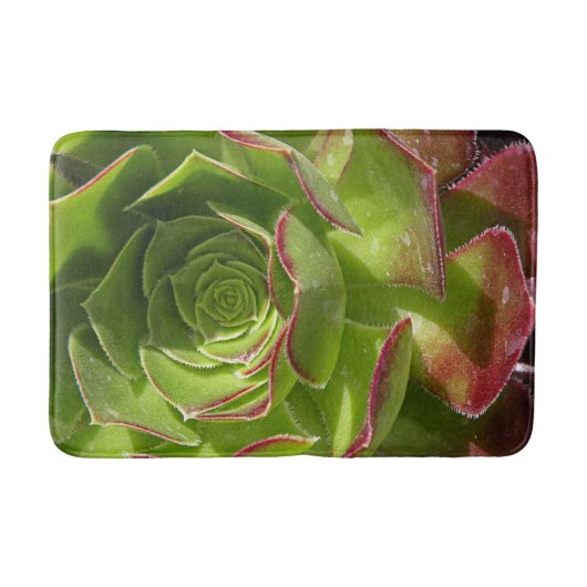 Tapis De Bain Vert (Devant)