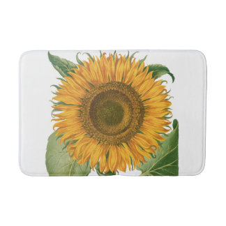 Tapis De Bain Vintage Sunflower Flower by Basilius Besler