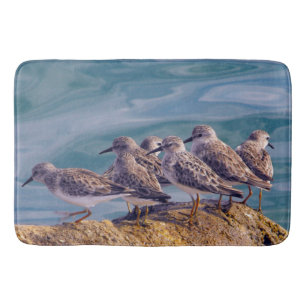Tapis De Bain Young Ruddy Turnstones
