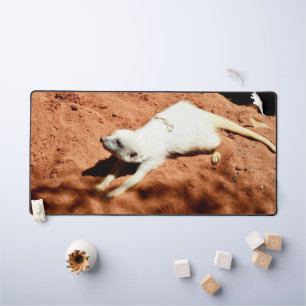 Tapis de bureau Étirement de suricate blanc