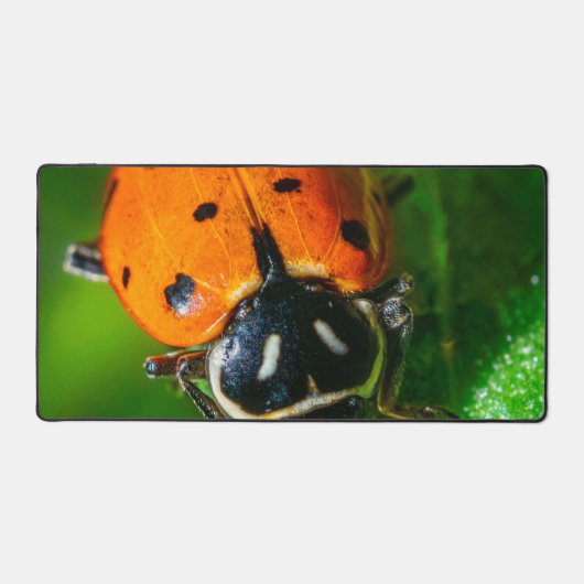 Tapis de bureau Macro Coccinelle | Art botanique c (Recto)