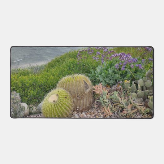 Tapis de bureau Plantes de cactus (Recto)