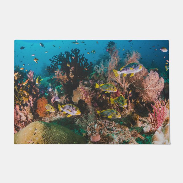 Tapis de porte Corail Reef (Devant)