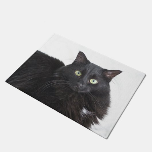 Tapis de porte de chat noir (Incliné)