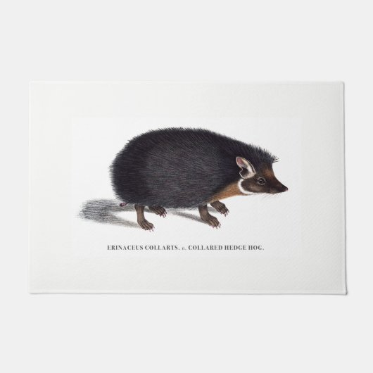 Tapis de porte de hérisson (Devant)