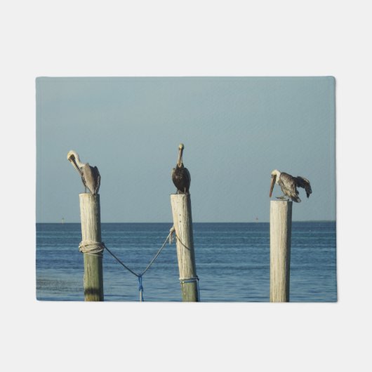 Tapis de porte du pélican (Devant)