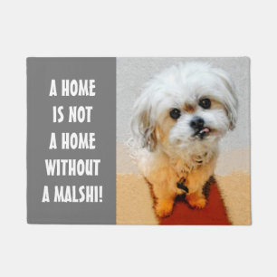 Tapis de porte Malshi adorable