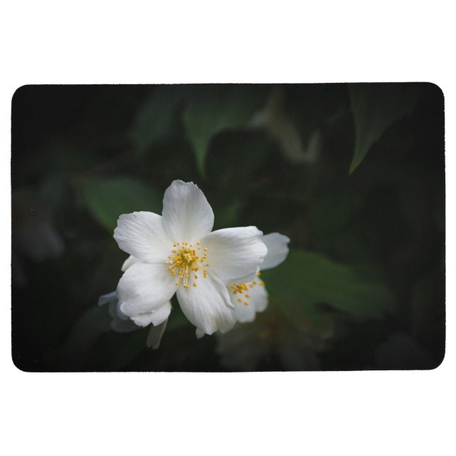 Tapis De Sol Fleur blanche de jasmin (Philadelphus) (Devant)