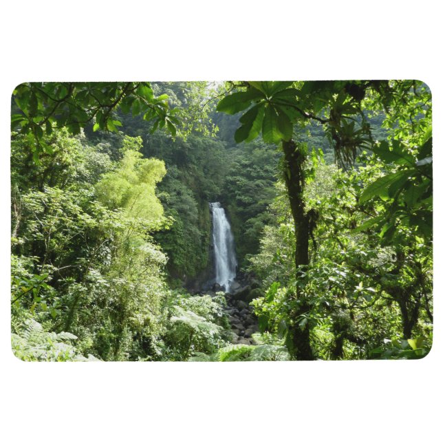 Tapis De Sol Trafalgar Falls Tropical Rainforest Photographie (Devant)