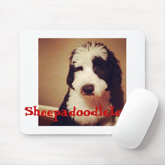 Tapis de souris (Avec souris)