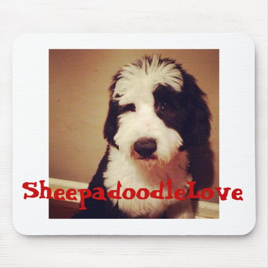 Tapis de souris (Devant)