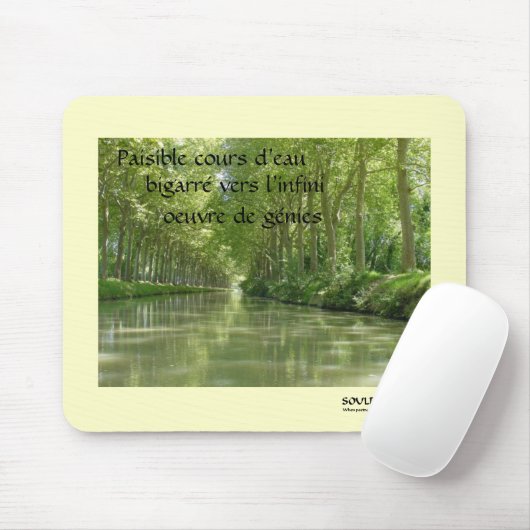 Tapis de souris (Avec souris)