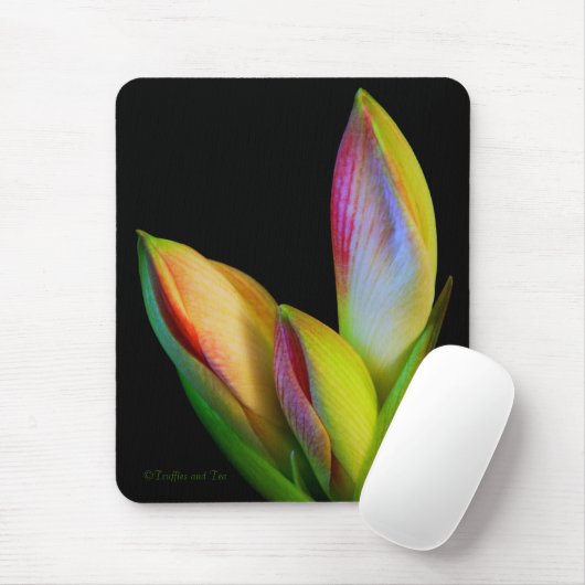 Tapis de souris (Avec souris)