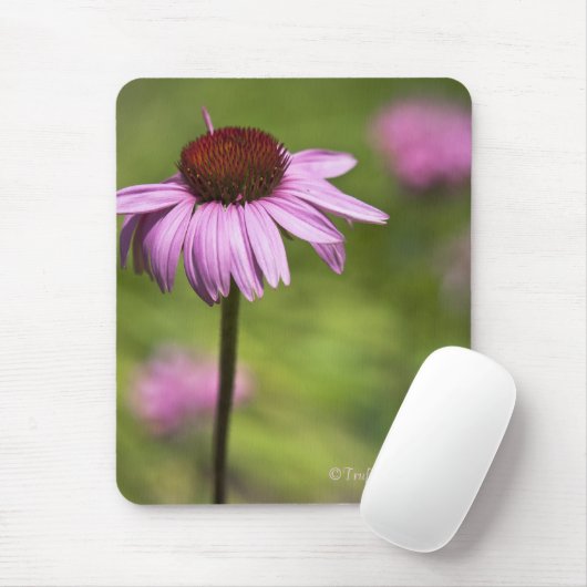 Tapis de souris (Avec souris)