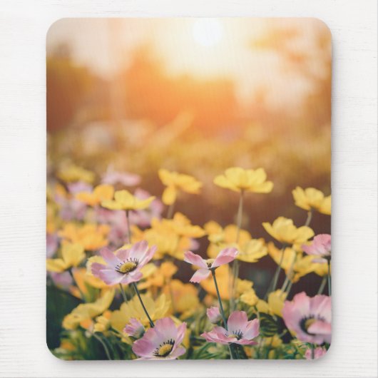 Tapis de souris (Devant)