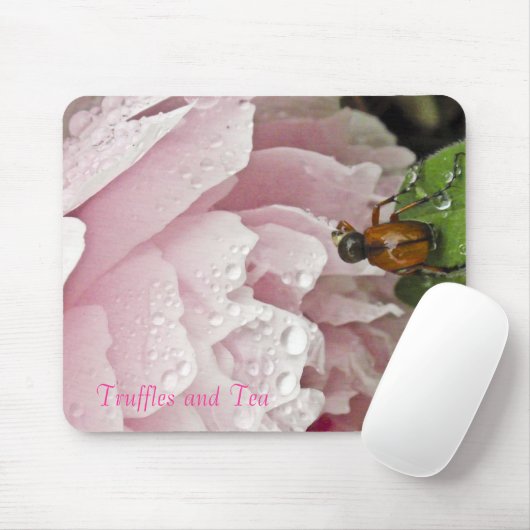 Tapis de souris (Avec souris)