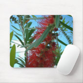 Tapis de souris (Avec souris)