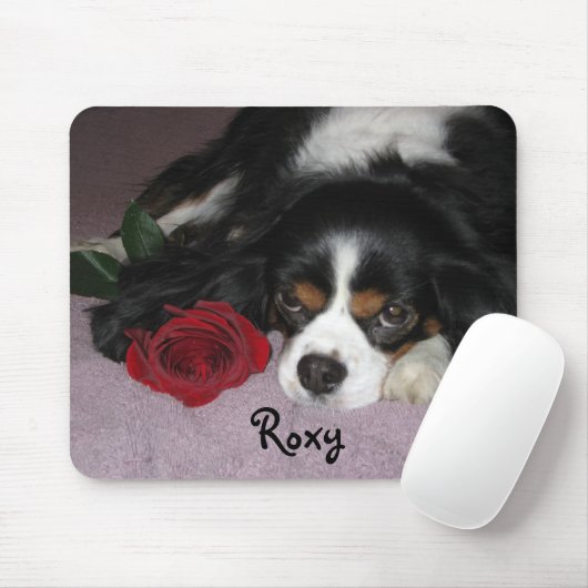 Tapis de souris (Avec souris)