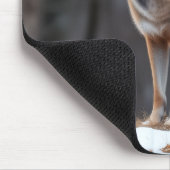 Tapis de souris  (Coin)