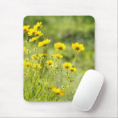 Tapis de souris (Avec souris)