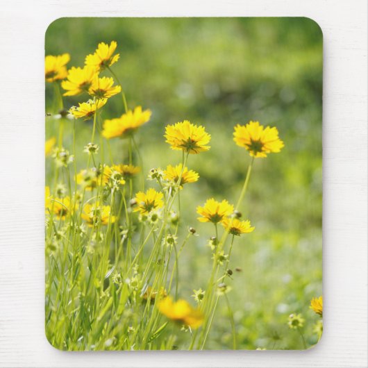 Tapis de souris (Devant)