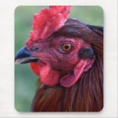 Tapis de souris (Devant)