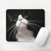 tapis de souris (Avec souris)