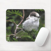 Tapis de souris (Avec souris)