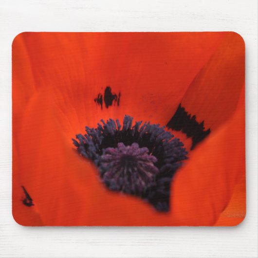 Tapis de souris (Devant)