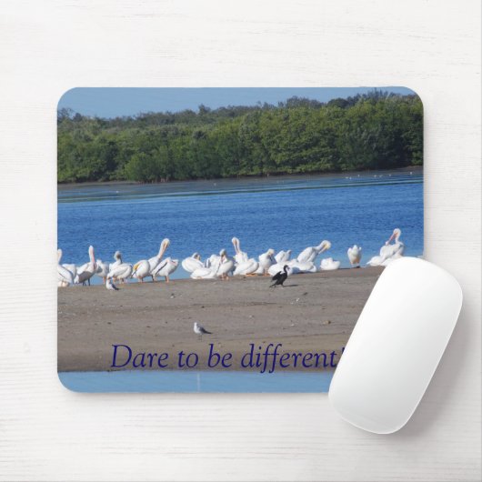 Tapis de souris (Avec souris)