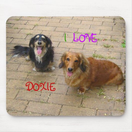 TAPIS DE SOURIS な か よ し ダ ク フ ン ♪ (Devant)