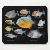 TAPIS DE SOURIS ニ ア の 品 (Devant)