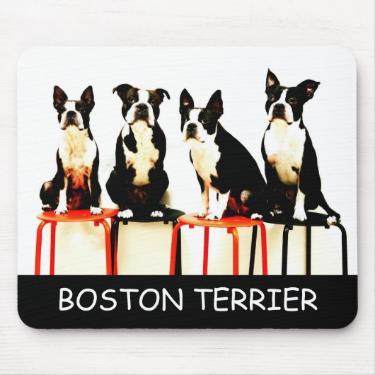 TAPIS DE SOURIS マウス (3), BOSTON TERRIER (Devant)