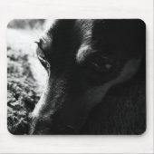 TAPIS DE SOURIS ミニチュアピンシャー マウスパッド (Devant)