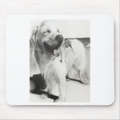 TAPIS DE SOURIS ワンちゃんとの時間 (Devant)