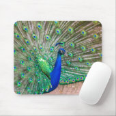 Tapis De Souris 0601-Peacock (Avec souris)