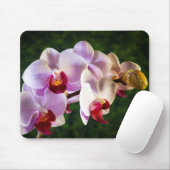 Tapis De Souris 0834-Orchidées Roses (Avec souris)
