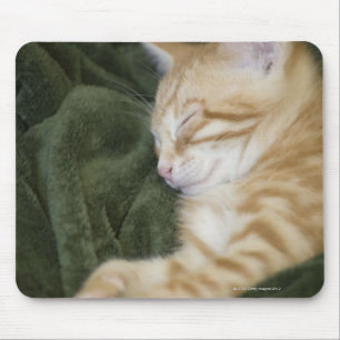 TAPIS DE SOURIS 0 2
