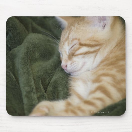 TAPIS DE SOURIS 0 2 (Devant)
