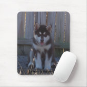 Tapis De Souris 100_2932, Malamutes du St Francis (Avec souris)