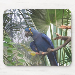 TAPIS DE SOURIS 101_0361